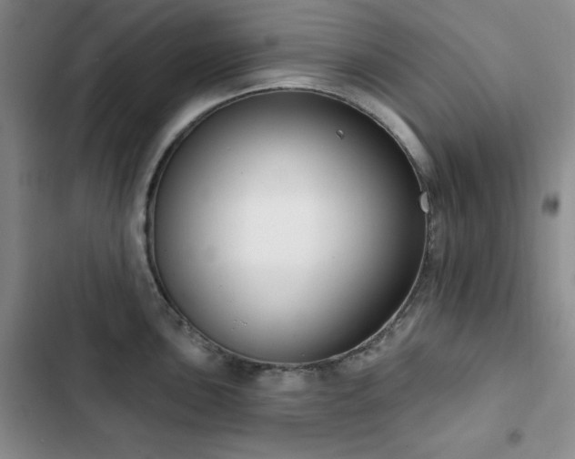 X0000102851051200808181413