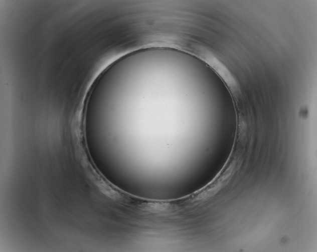 X0000102851052200808181413