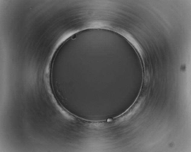 X0000102851053200808181413