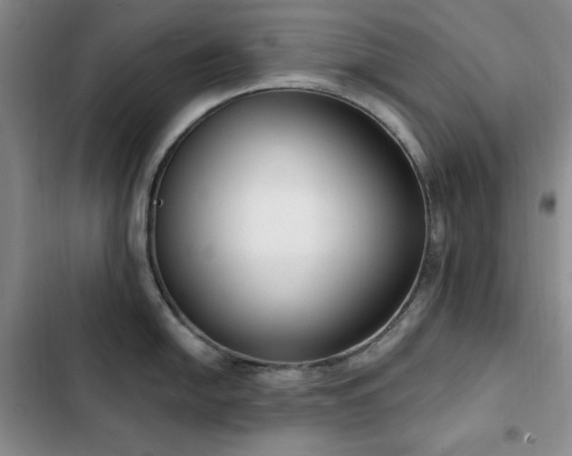 X0000102851054200808181413