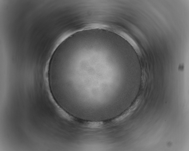 X0000102851055200808181413