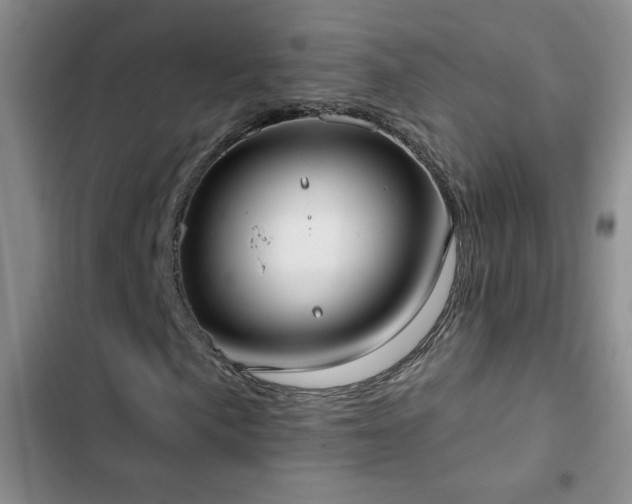 X0000102851057200808181412