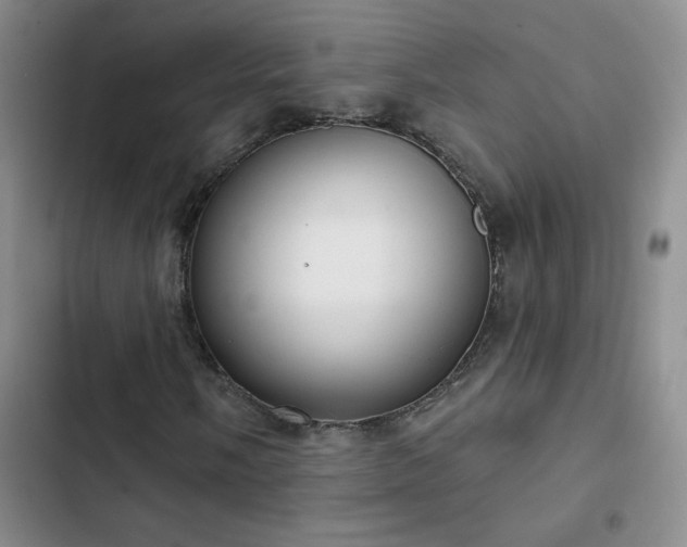 X0000102851058200808181412