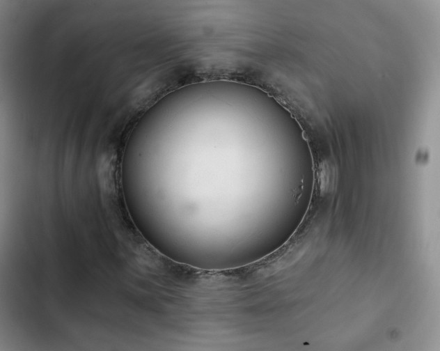 X0000102851059200808181412