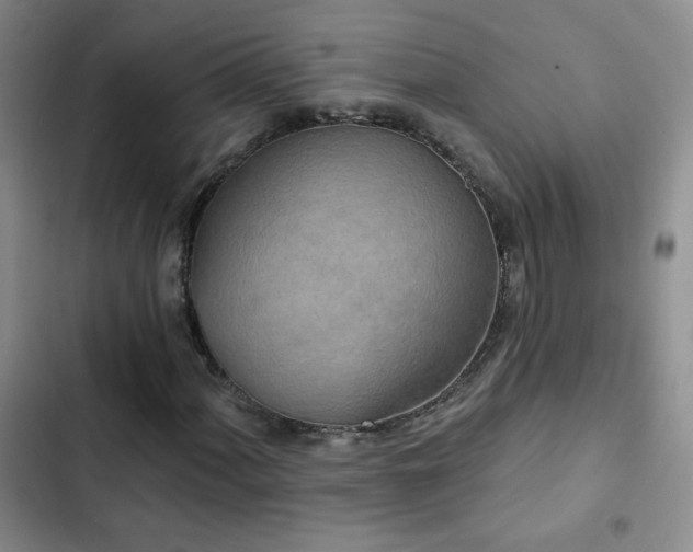 X0000102851060200808181412