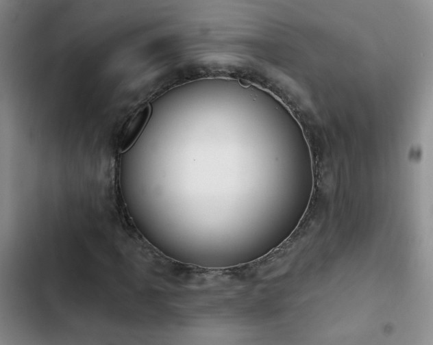 X0000102851061200808181412