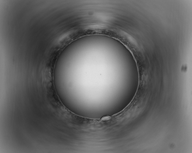 X0000102851062200808181412