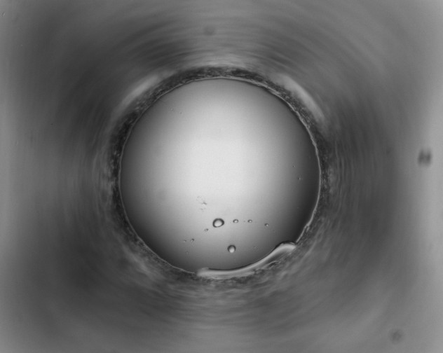 X0000102851064200808181412