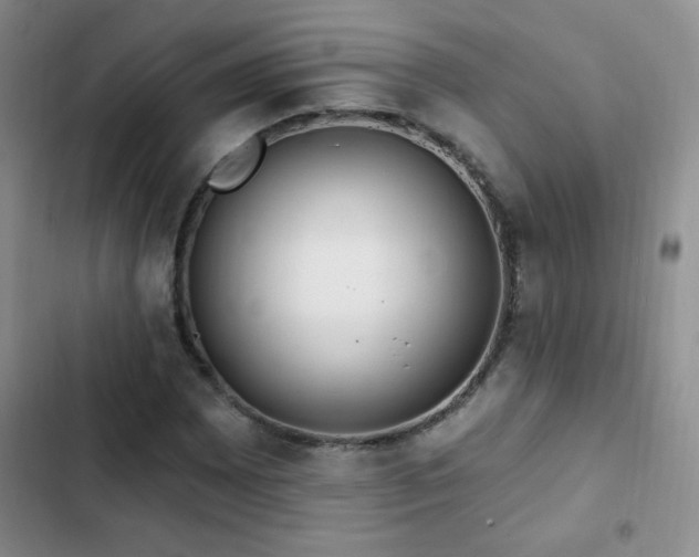 X0000102851065200808181412