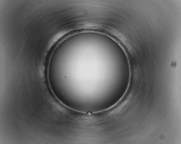 X0000102851066200808181412
