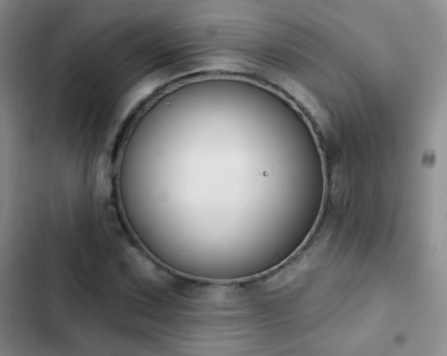 X0000102851067200808181412