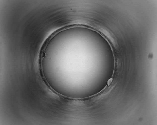 X0000102851068200808181412