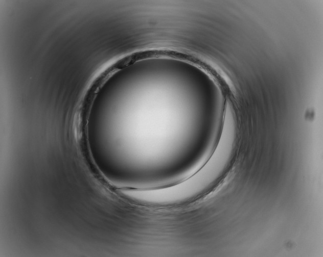 X0000102851069200808181412