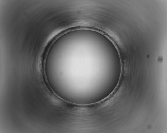 X0000102851070200808181412