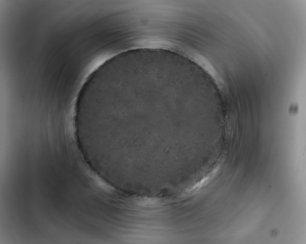 X0000102851071200808181412