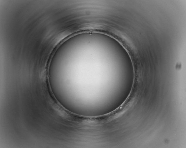 X0000102851073200808181412