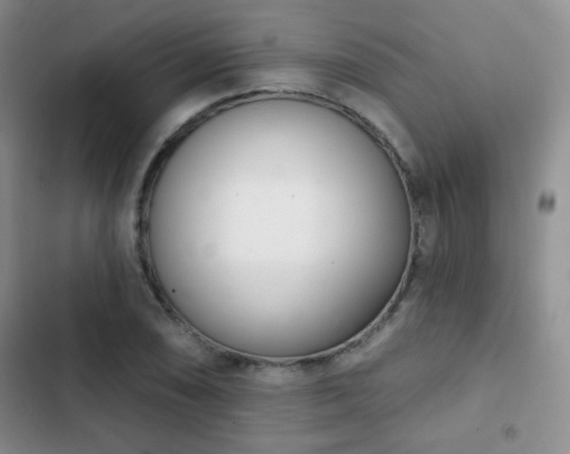 X0000102851074200808181412