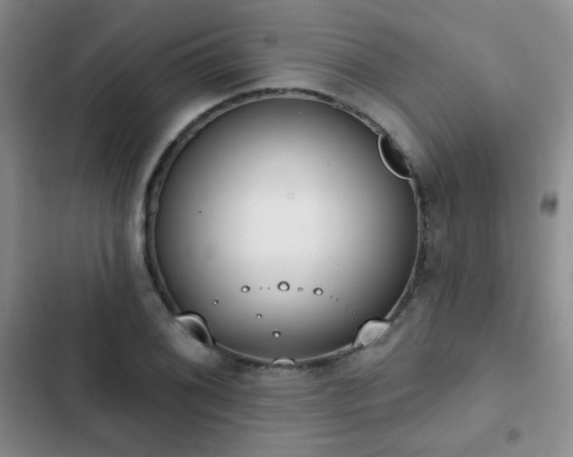 X0000102851076200808181412