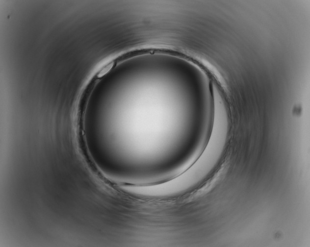 X0000102851077200808181412