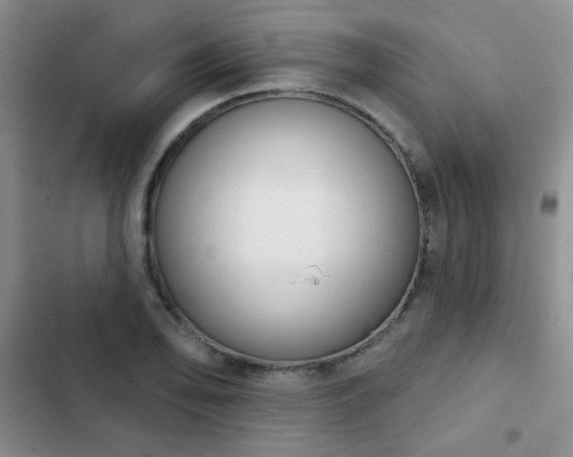 X0000102851078200808181412
