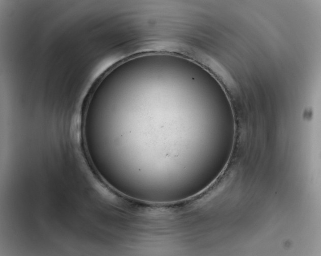 X0000102851079200808181412