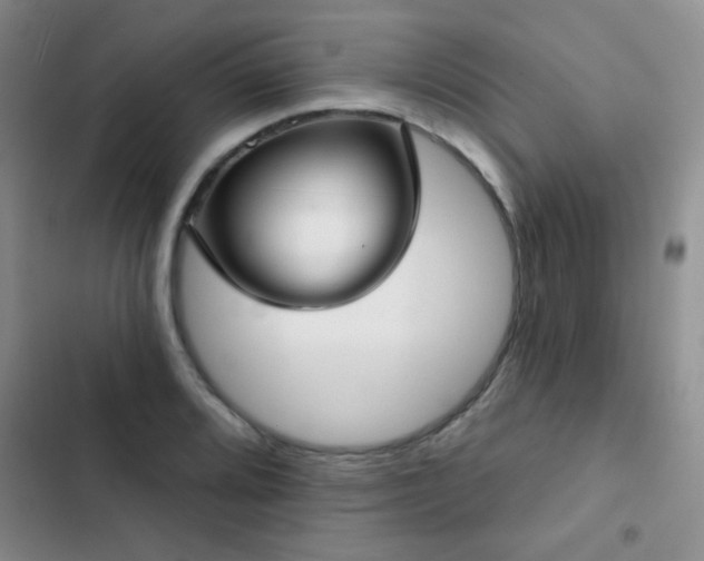 X0000102851080200808181412
