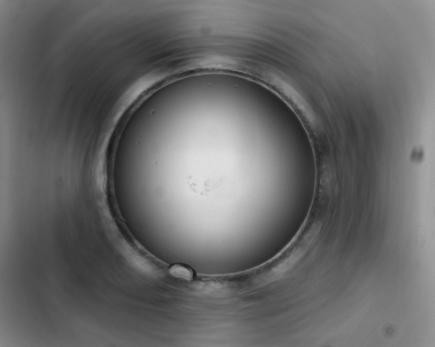 X0000102851082200808181412