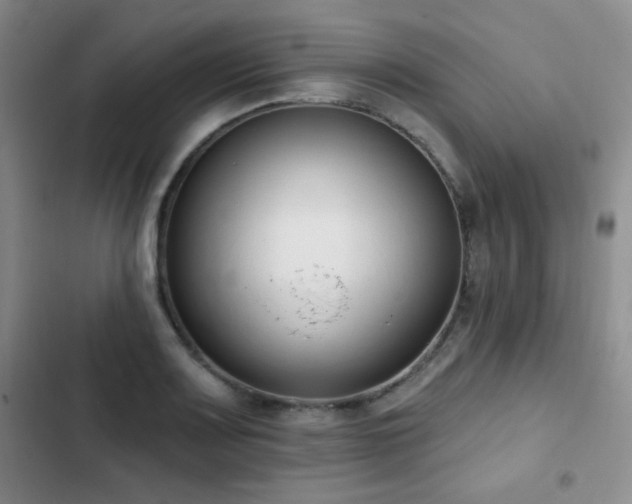 X0000102851083200808181412