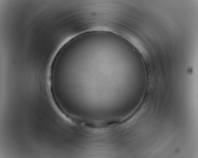 X0000102851084200808181412
