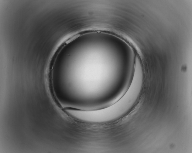 X0000102851085200808181412