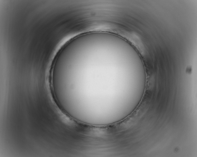 X0000102851086200808181412