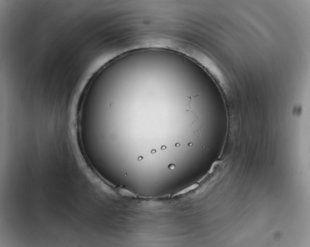 X0000102851088200808181412