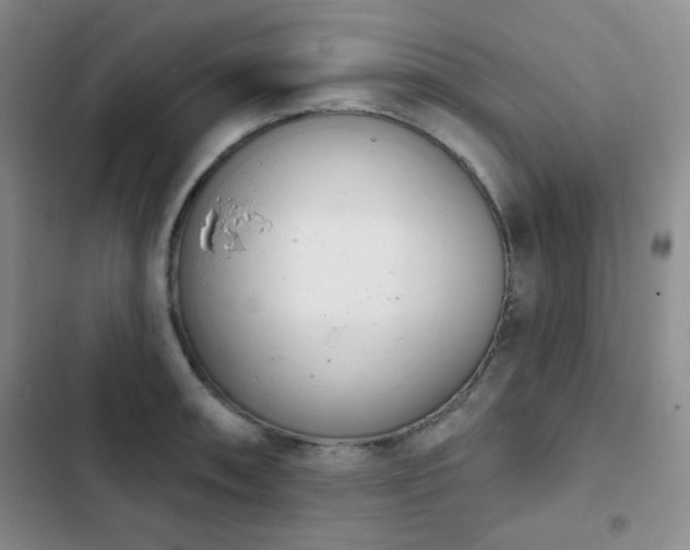 X0000102851090200808181412
