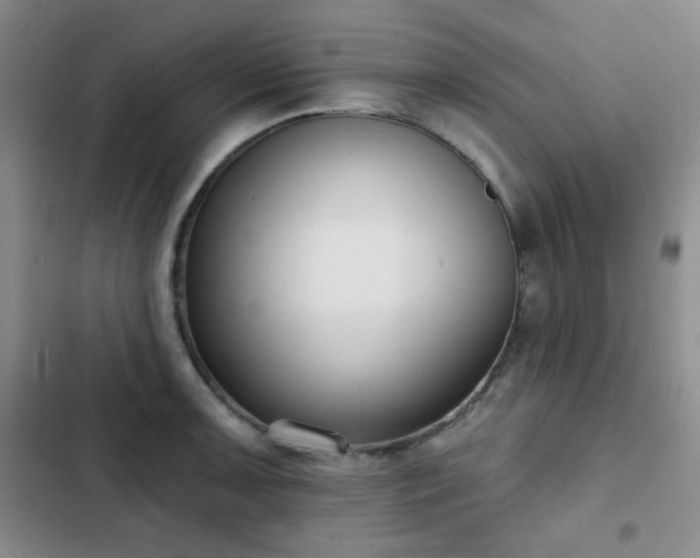 X0000102851091200808181412