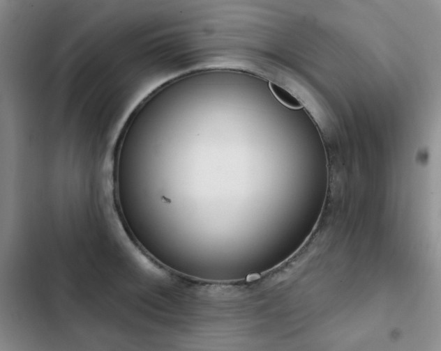 X0000102851092200808181412