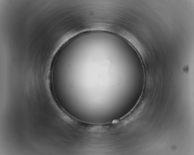 X0000102851093200808181412