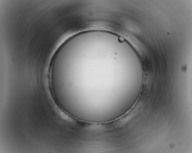X0000102851094200808181412
