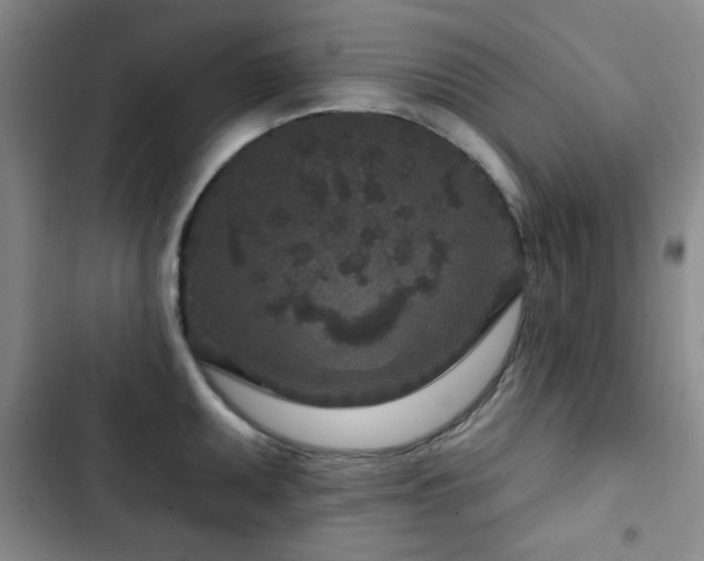 X0000102851095200808181412