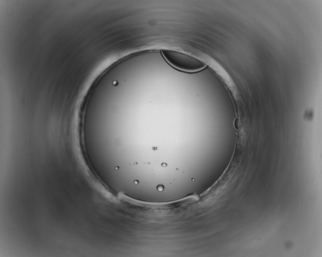 X0000102851096200808181412