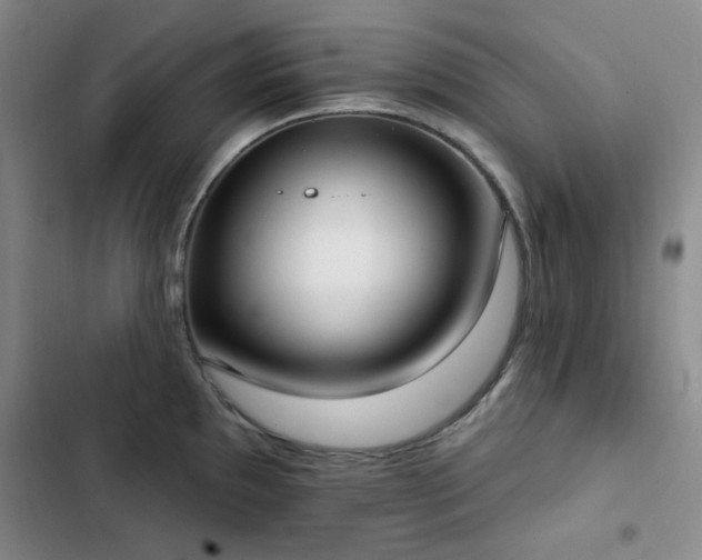 X0000102851097200808181412
