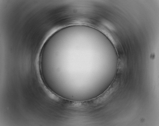 X0000102851098200808181412