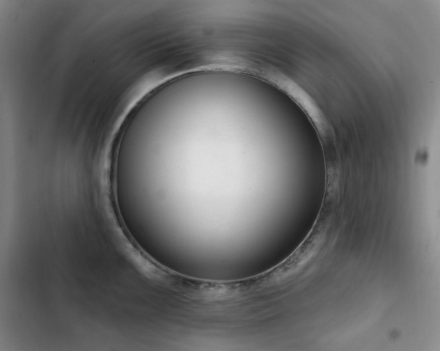X0000102851099200808181412