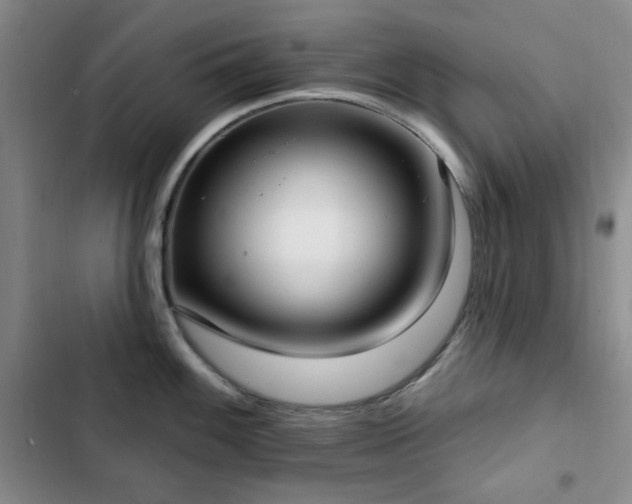 X0000102851100200808181412