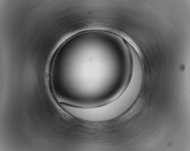 X0000102851101200808181412