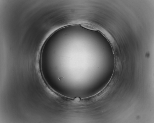 X0000102851102200808181412
