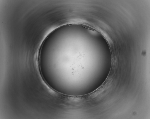 X0000102851103200808181412