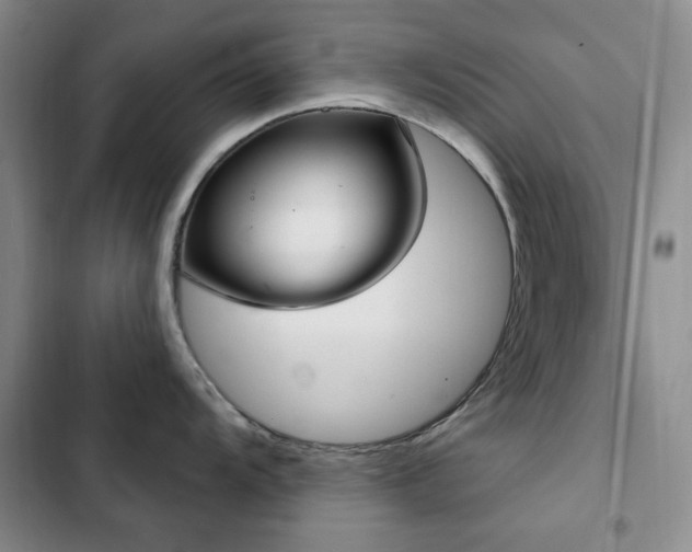 X0000102851104200808181412