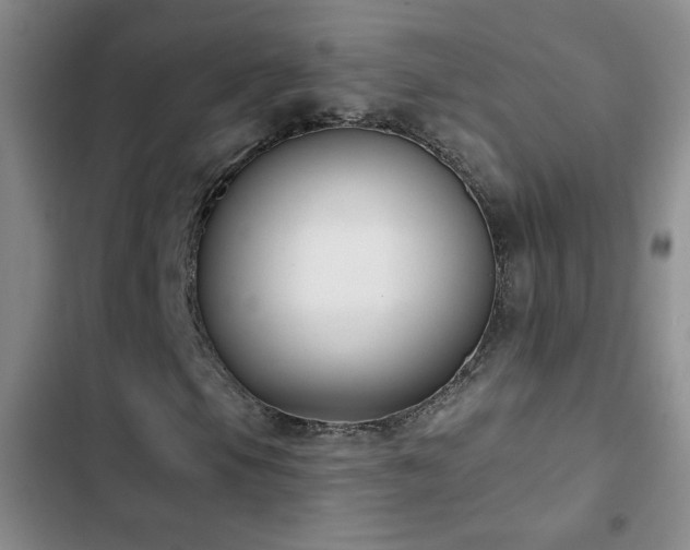 X0000102851105200808181411