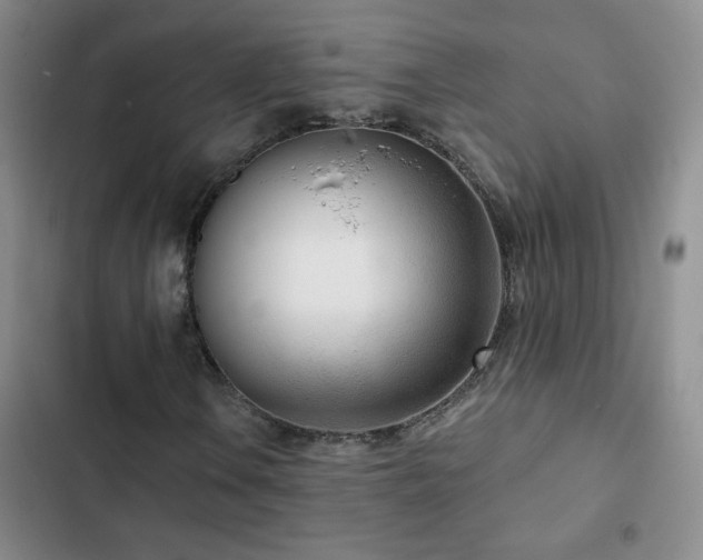 X0000102851106200808181411