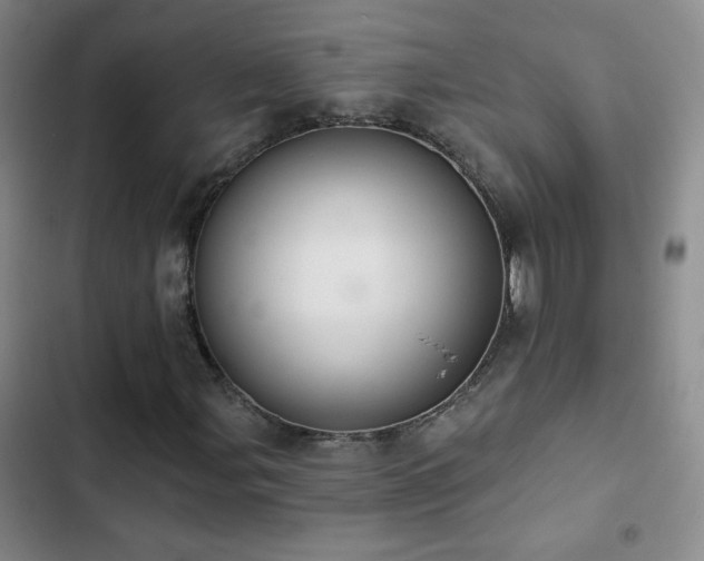 X0000102851107200808181411